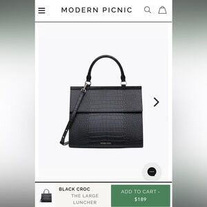 Modern Picnic Large Luncher